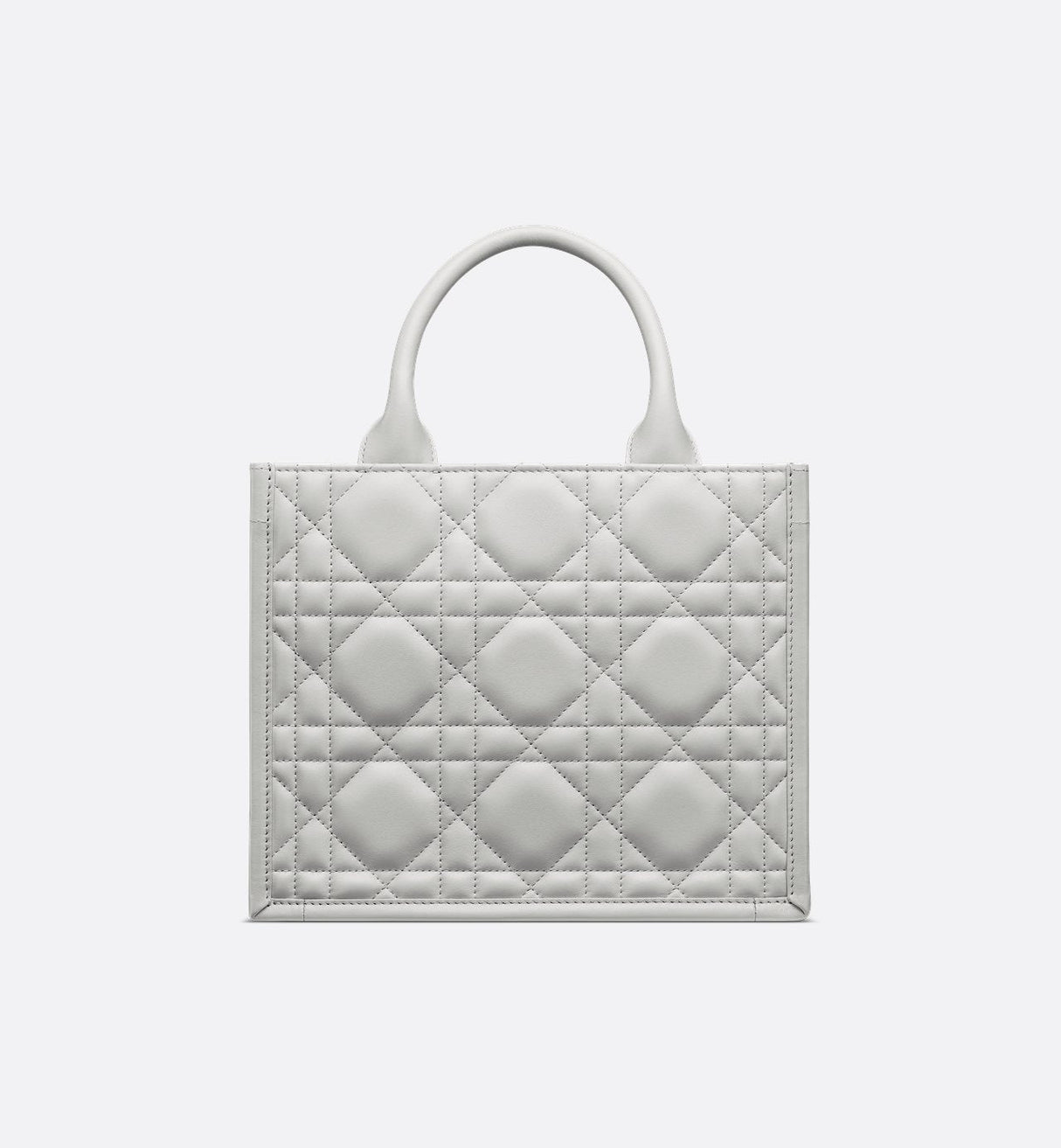 Sac Dior Book Tote Small