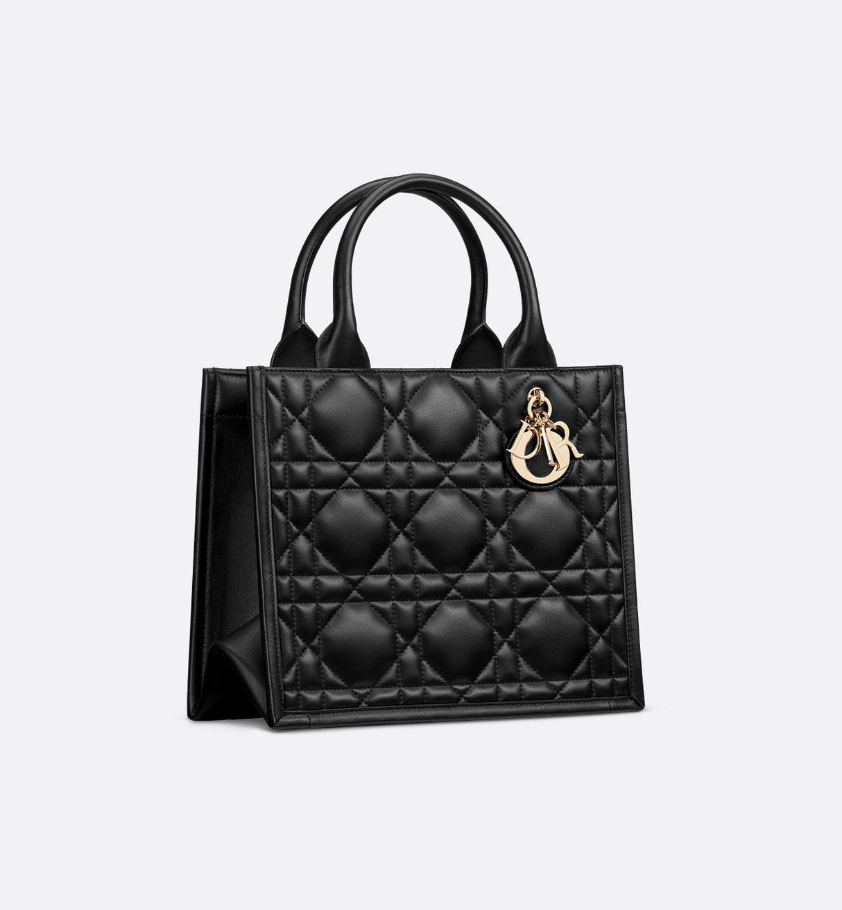 Sac Dior Book Tote Small