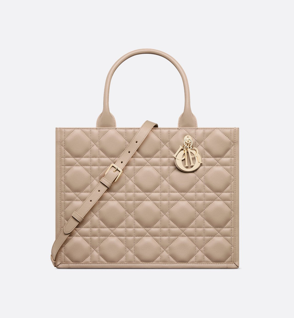 Sac Dior Book Tote Medium