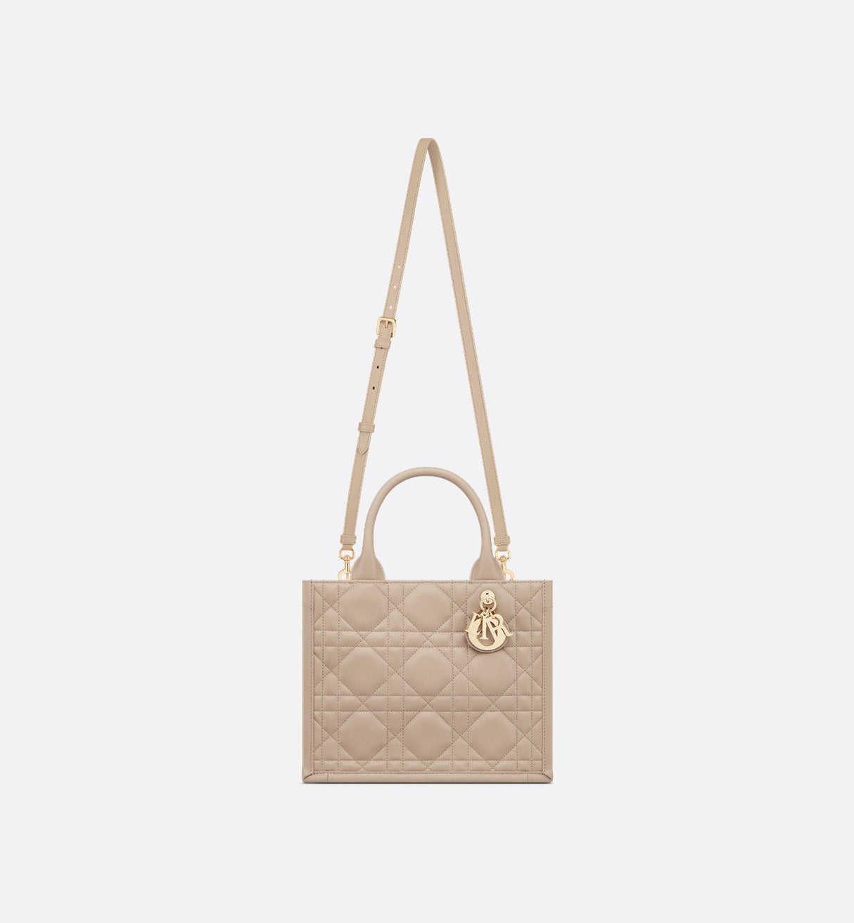 Sac Dior Book Tote Small