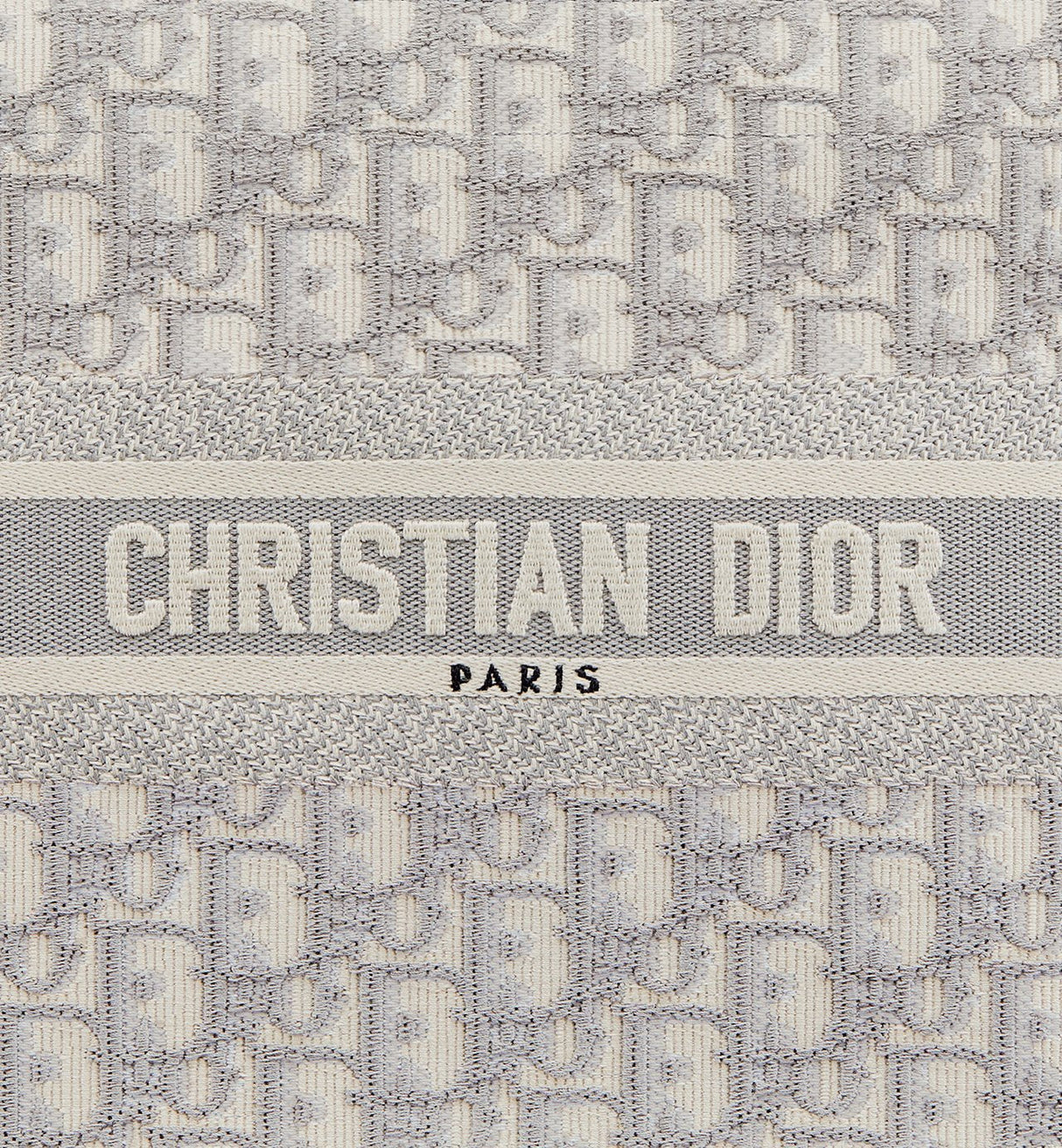 Sac Dior Book Tote Small