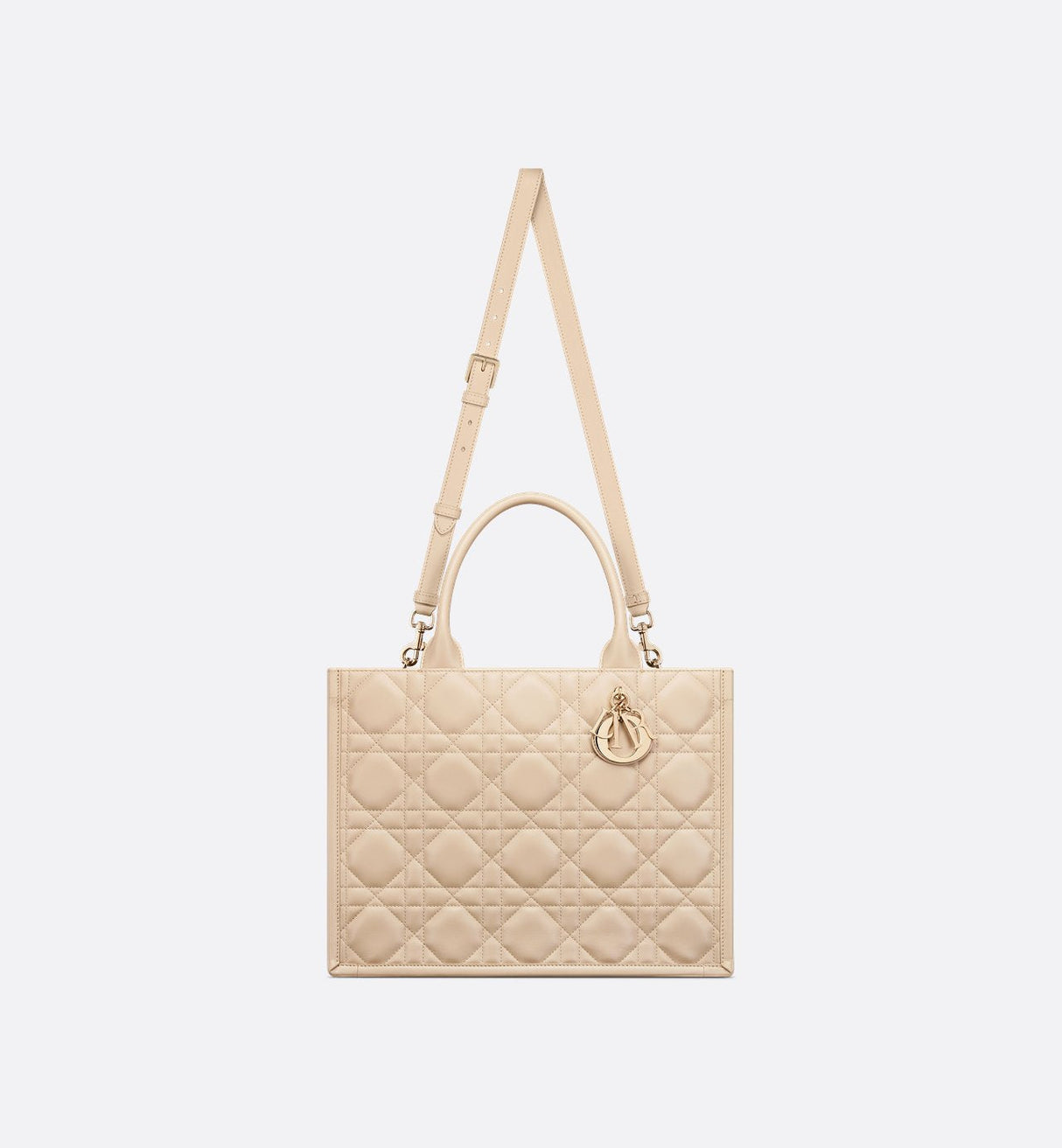 Sac Dior Book Tote Medium