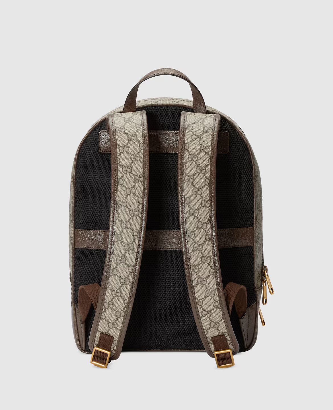 Mochila mediana Ophidia