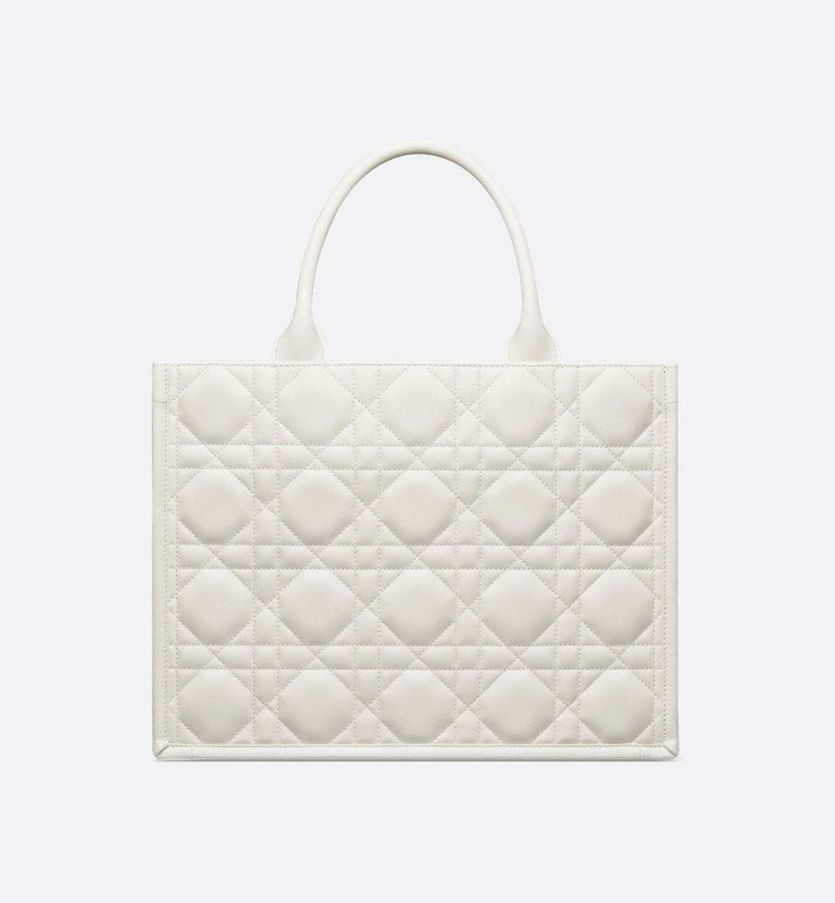 Sac Dior Book Tote Medium