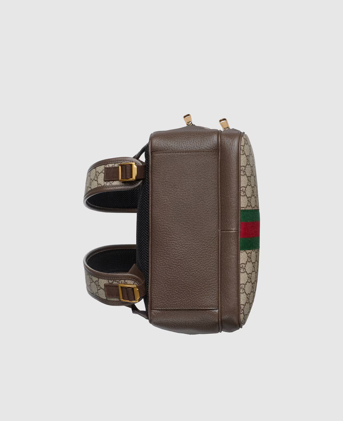 Mochila mediana Ophidia