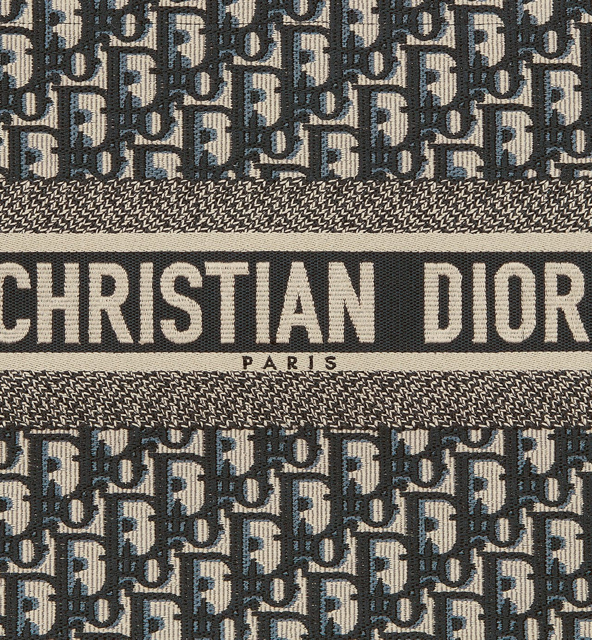 Sac Dior Book Tote Medium