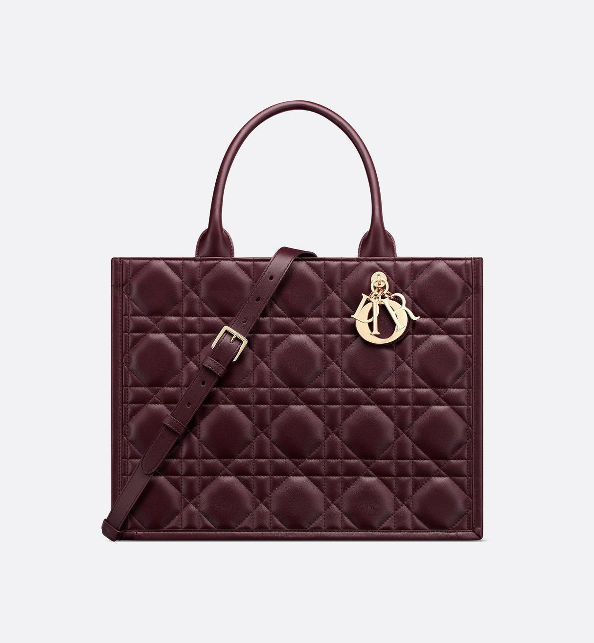 Sac Dior Book Tote Medium