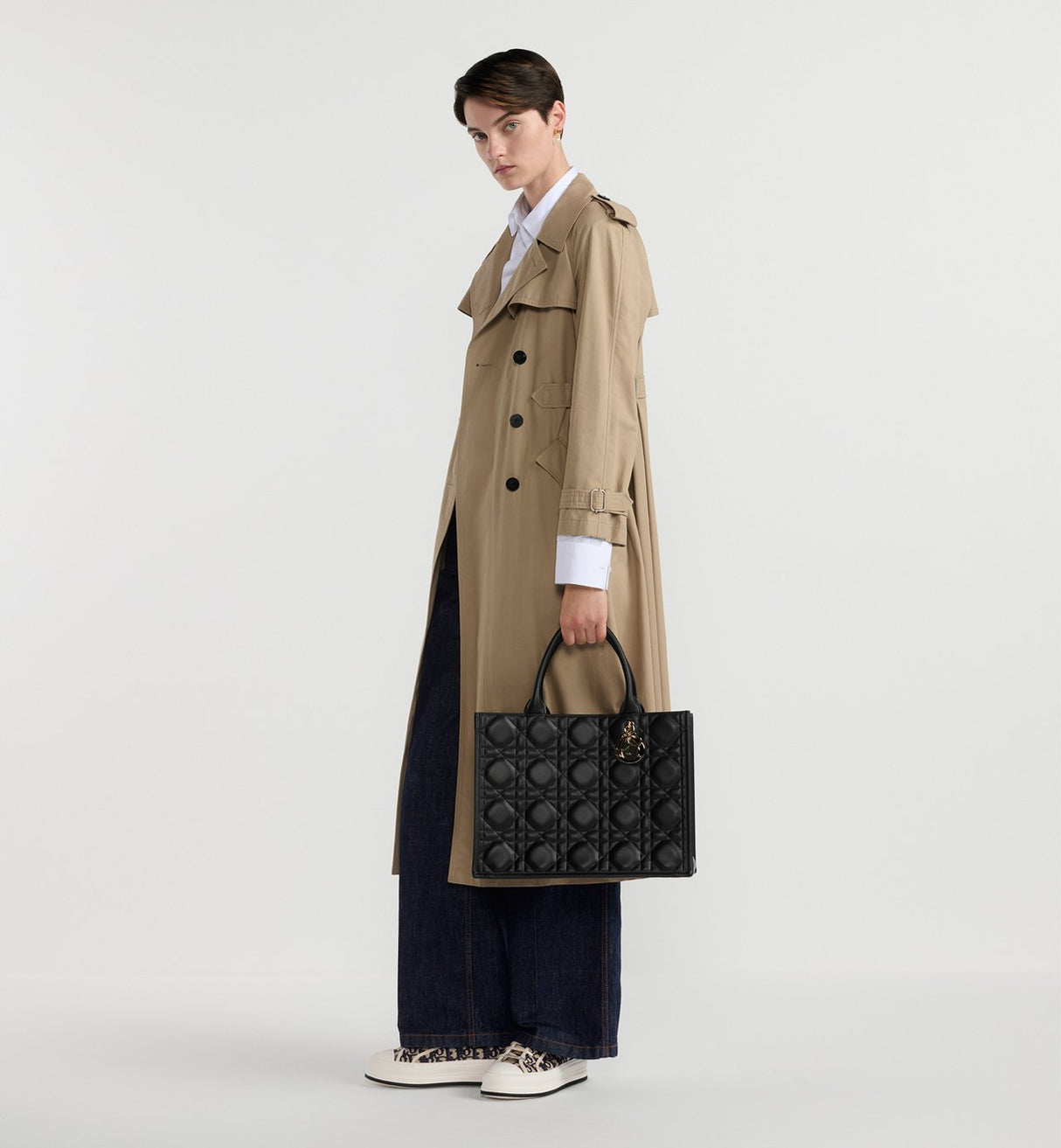 Sac Dior Book Tote Medium