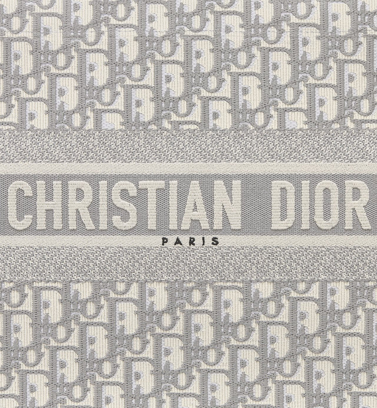 Sac Dior Book Tote Medium