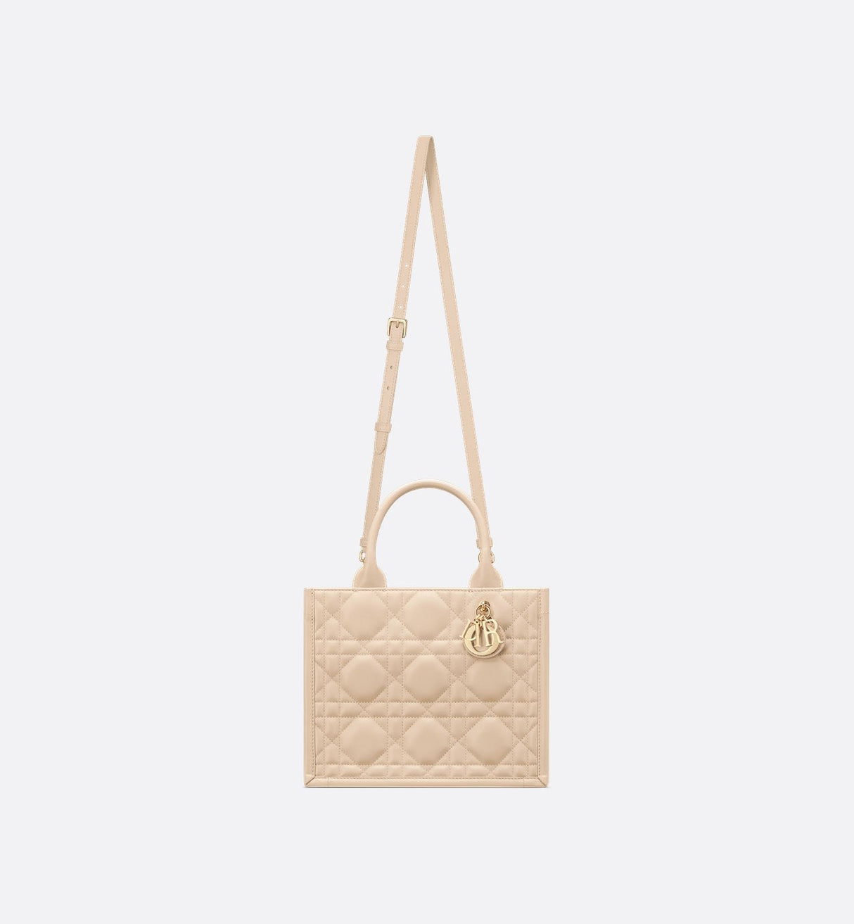 Sac Dior Book Tote Small