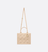 Sac Dior Book Tote Small