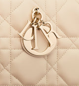 Sac Dior Book Tote Medium