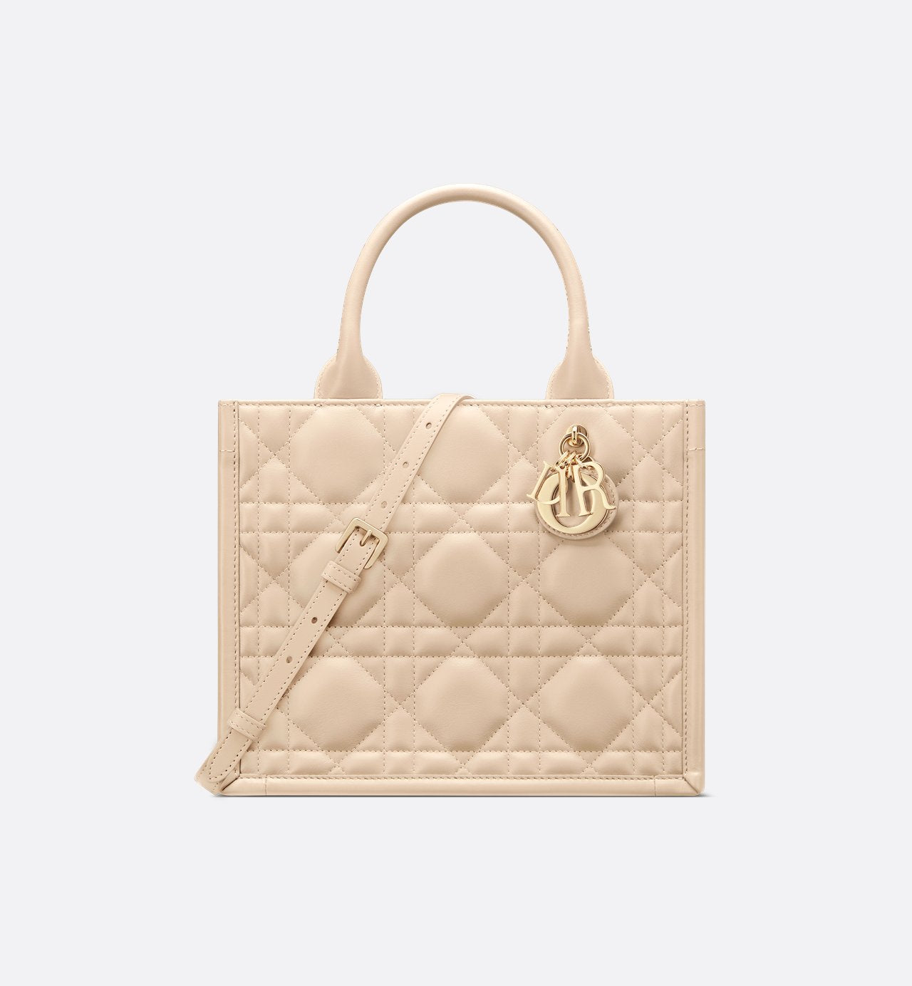 Bolso pequeño Dior Book Tote