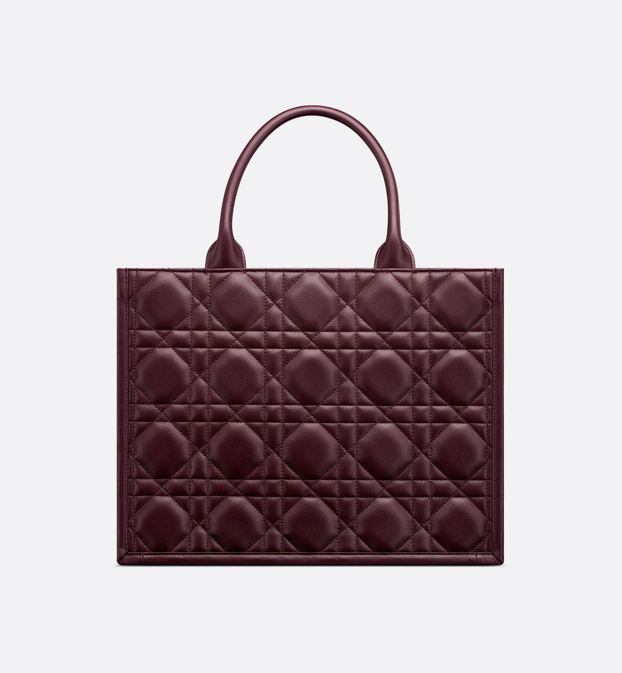 Sac Dior Book Tote Medium