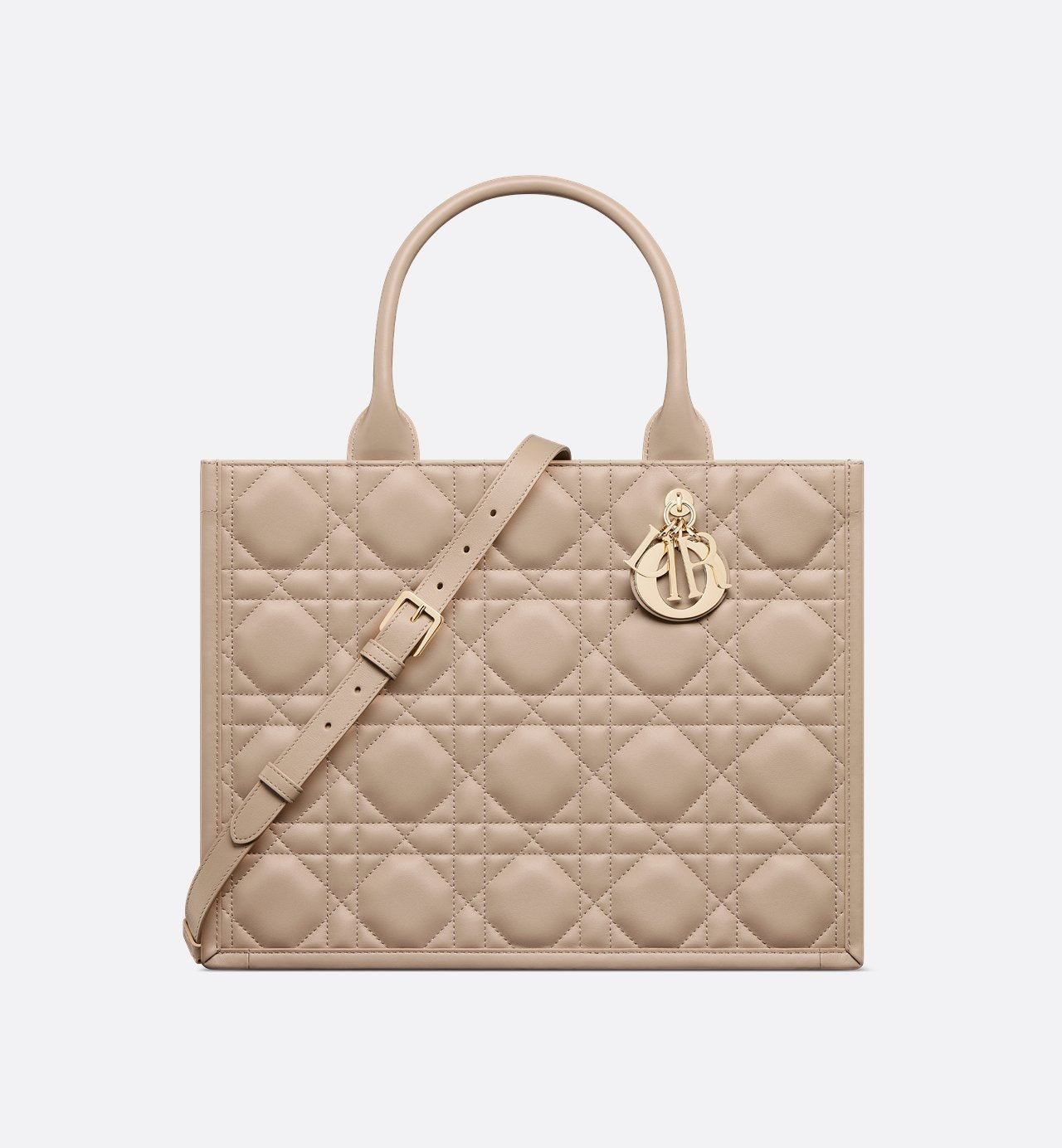 Bolso mediano Dior Book Tote