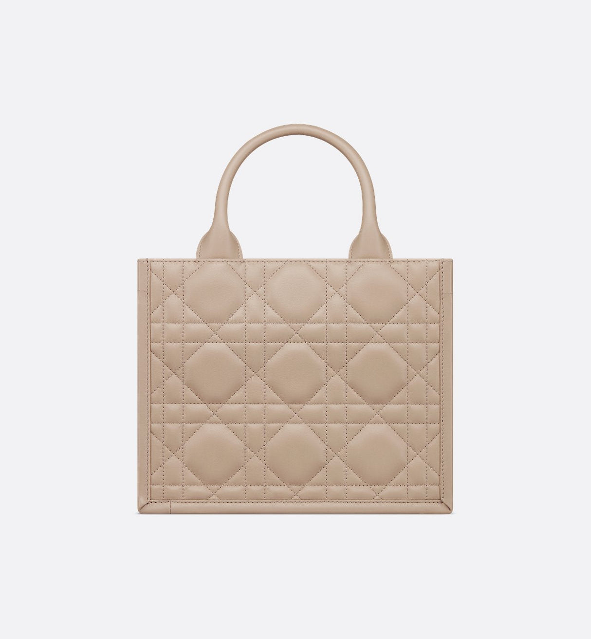 Sac Dior Book Tote Small