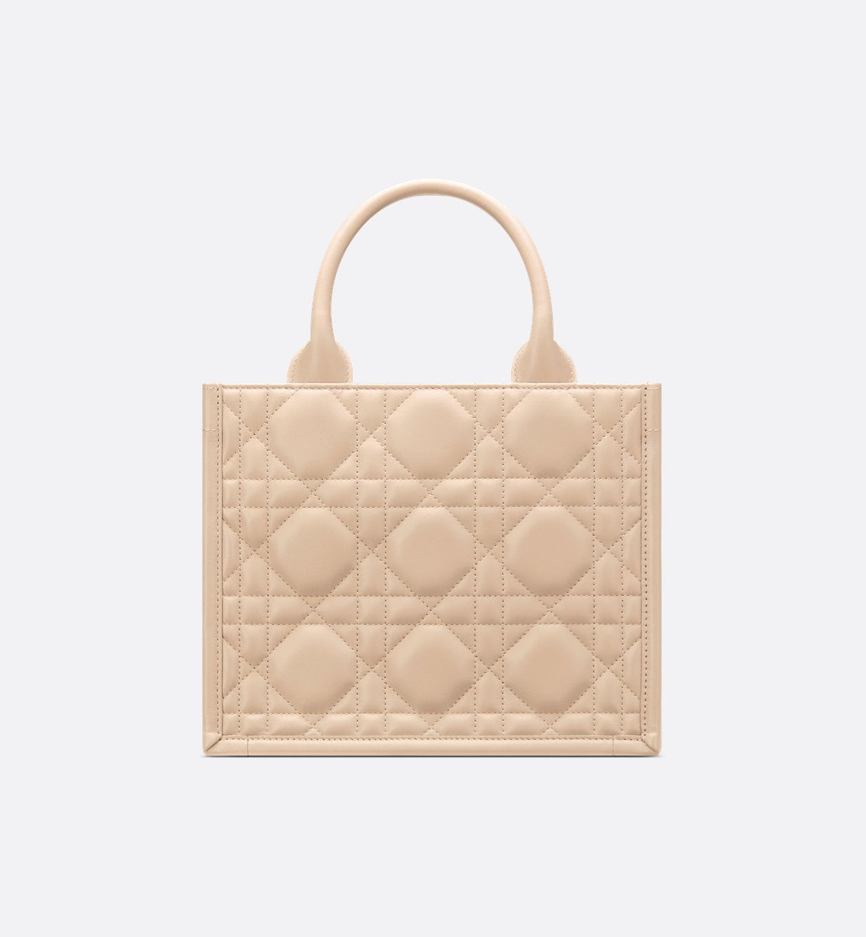 Sac Dior Book Tote Small