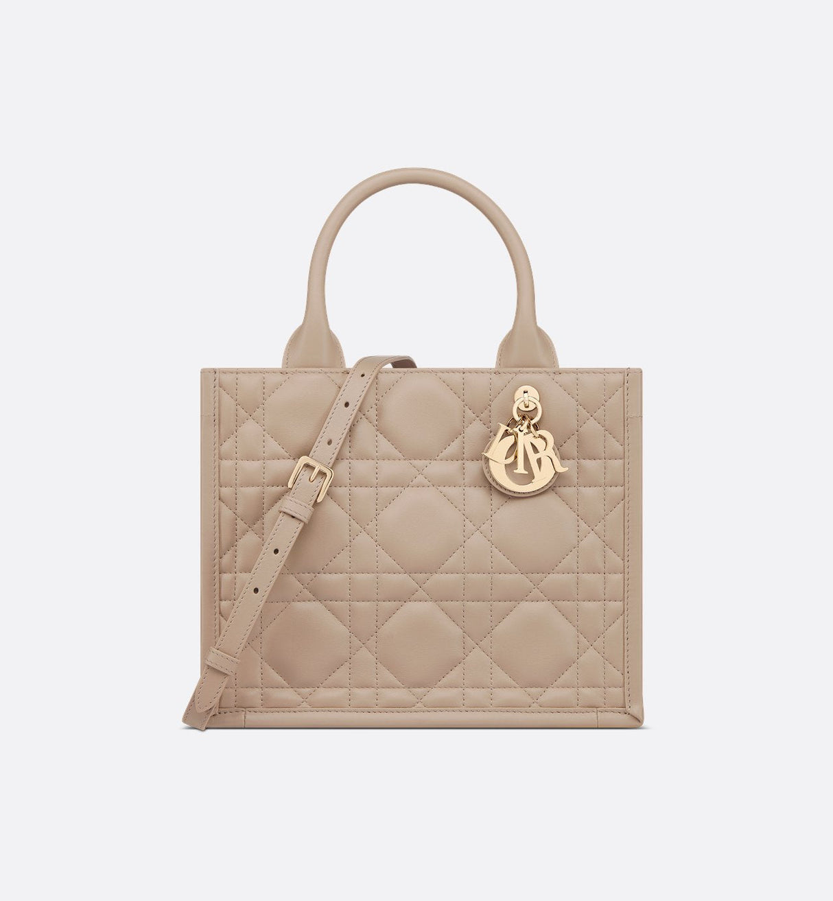 Sac Dior Book Tote Small