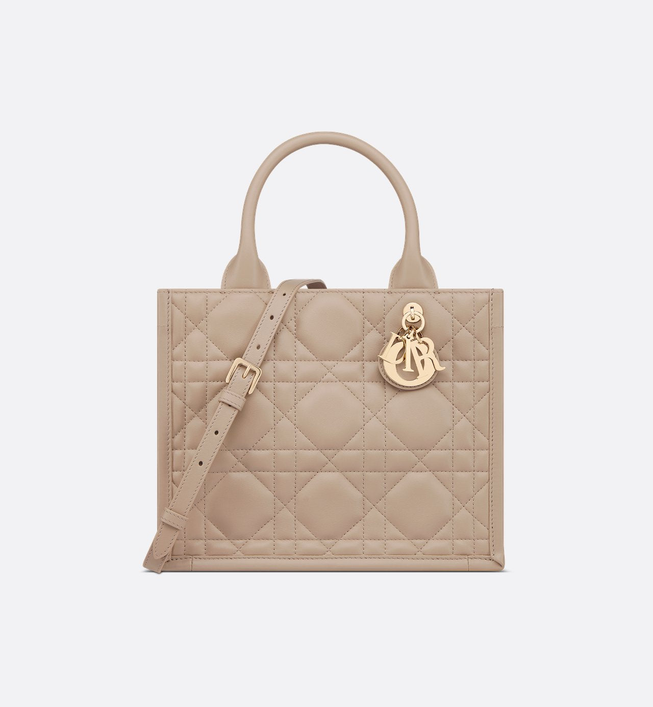 Bolso pequeño Dior Book Tote