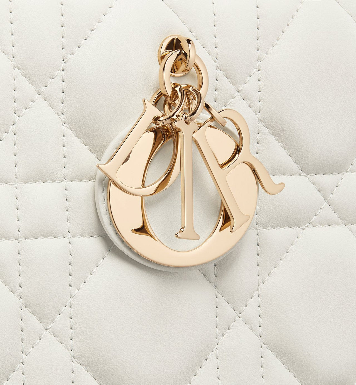 Sac Dior Book Tote Medium