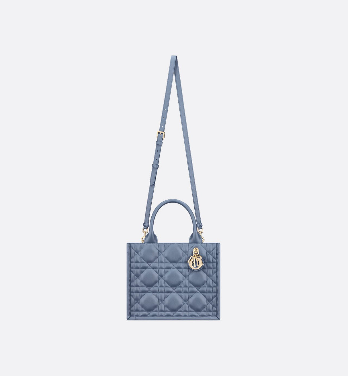 Sac Dior Book Tote Small