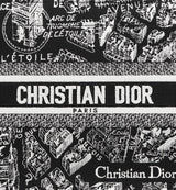 Sac Dior Book Tote Small