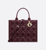 Sac Dior Book Tote Medium